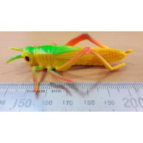 Science Toys