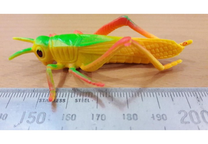Science Toys