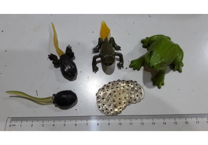 Science Toys