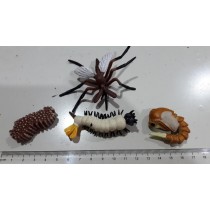 Science Toys