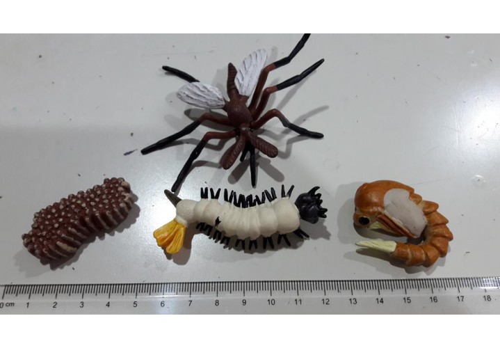 Science Toys