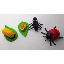 Science Toys