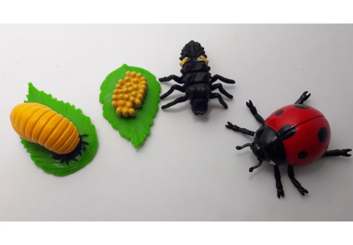 Science Toys