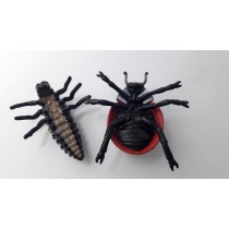 Science Toys