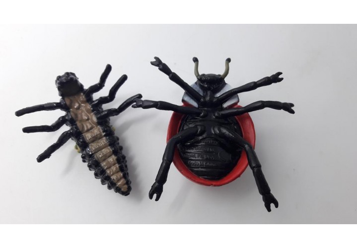 Science Toys