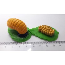 Science Toys