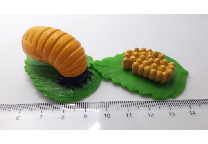 Science Toys