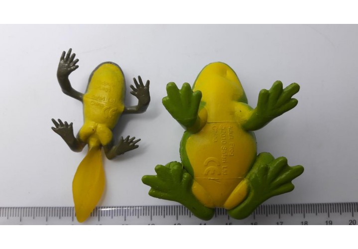 Science Toys