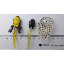 Science Toys