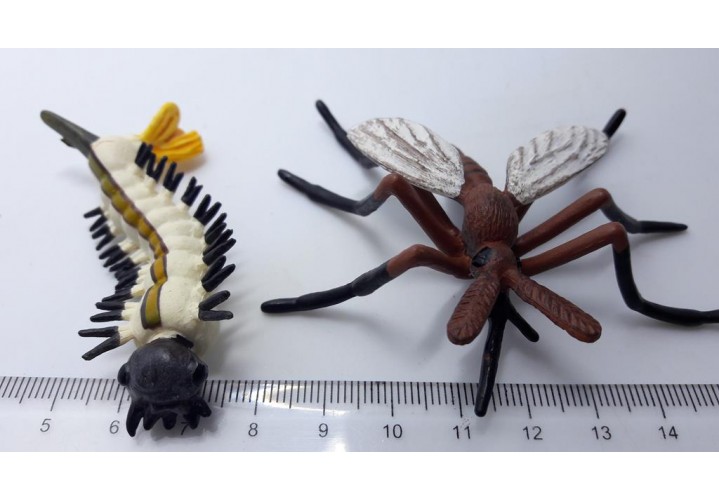Science Toys