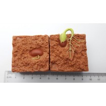 Science Toys
