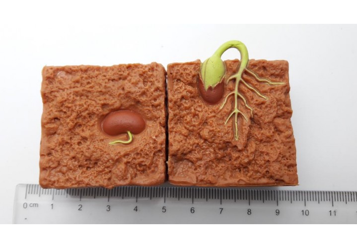Science Toys