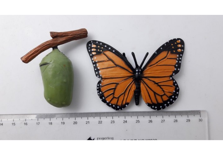Primary Science
