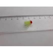 Science Toys