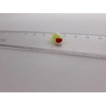 Science Toys
