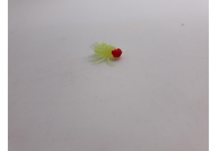 Science Toys