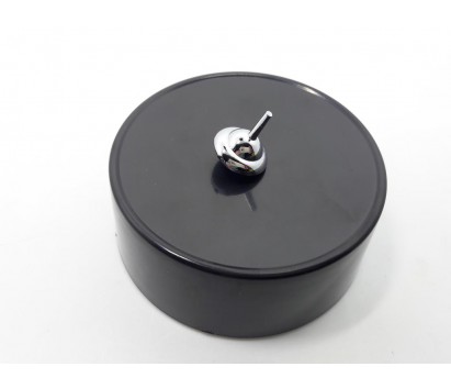 perpetual spinning top