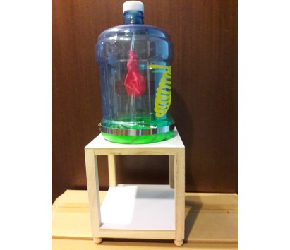 lung model with stand