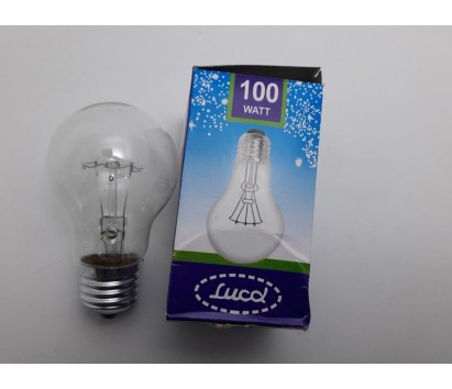 100W incandescent light bulb