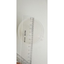 Primary Science