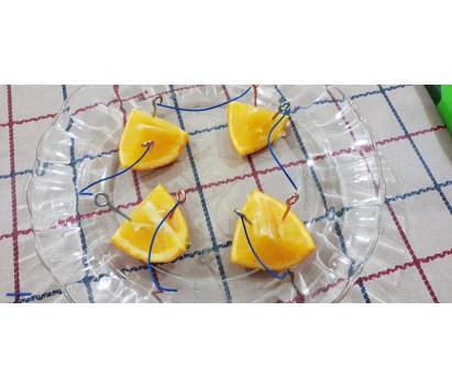 DIY fruit battery