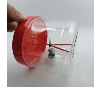 DIY obedient can