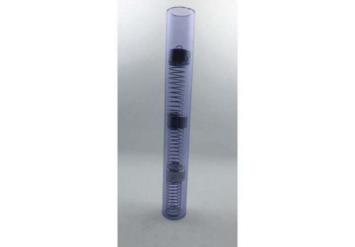 primary science