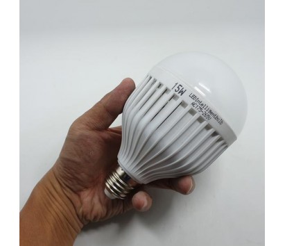 Magic power saving bulb (large)
