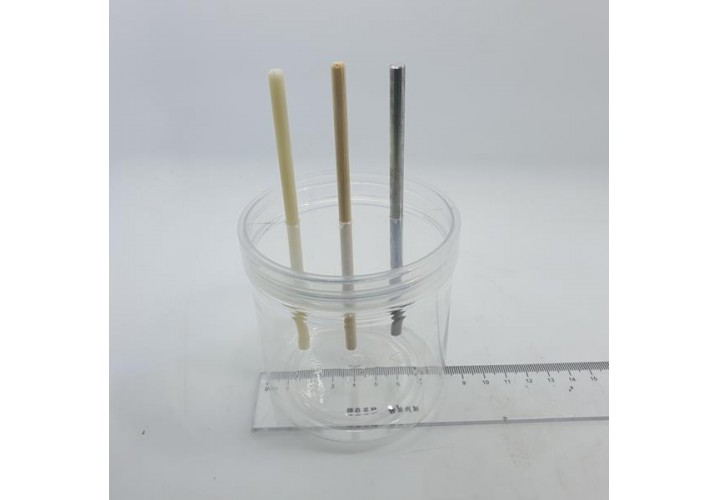 primary science