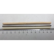 primary science