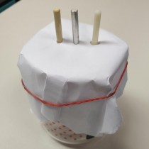 primary science