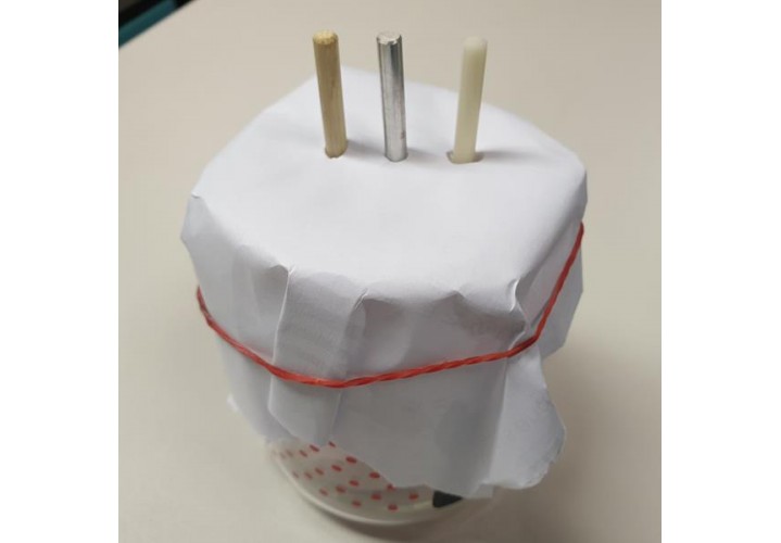 primary science