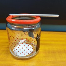 primary science