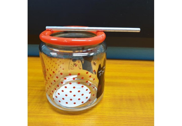 primary science