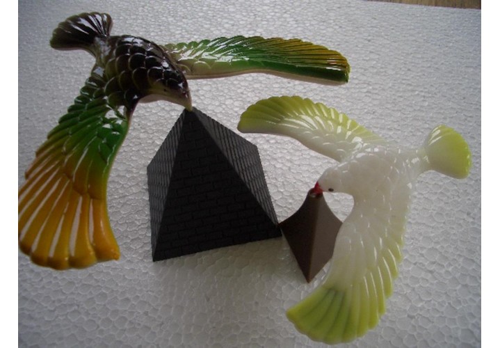 Science Toys