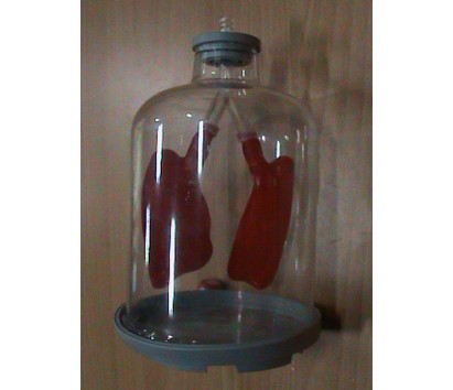 Simulation of lungs