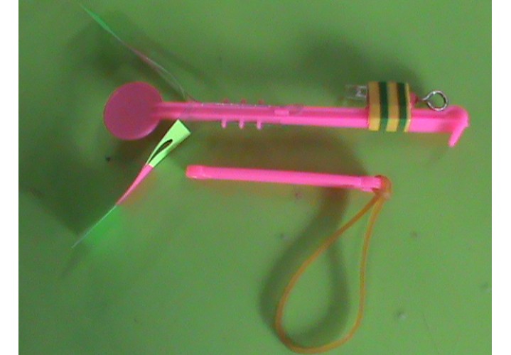 Primary Science