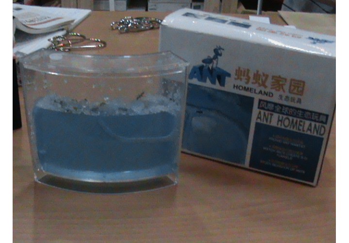 Science Toys