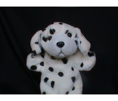 Dog (Spots)