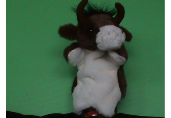 Hand Puppets