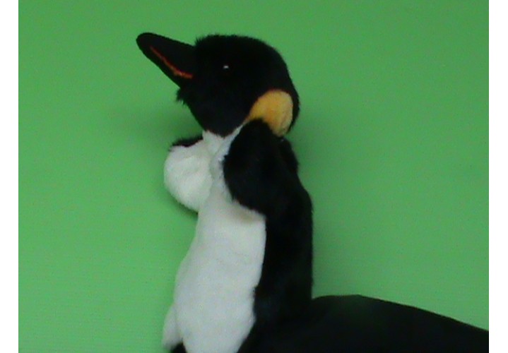 Hand Puppets