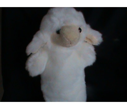 Sheep
