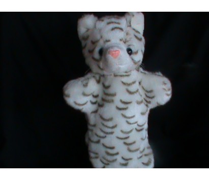 White Cat