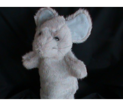 Mouse