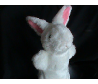 Rabbit (White)
