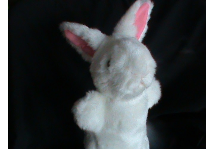 Hand Puppets
