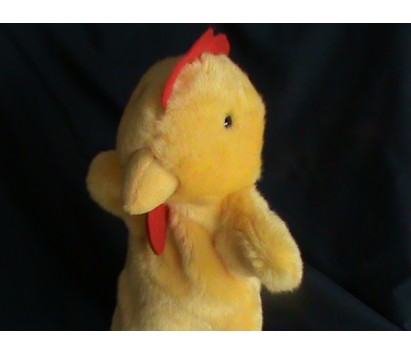 Rooster(Orange)