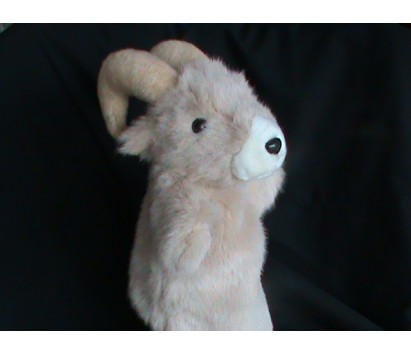 Ram