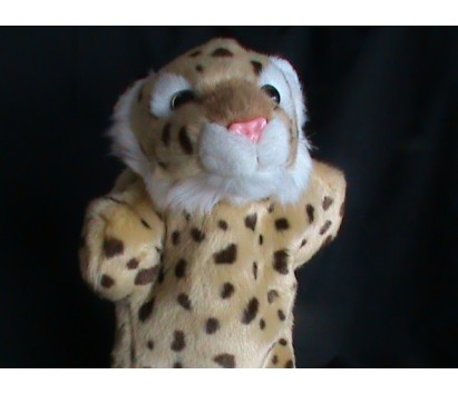 leopard