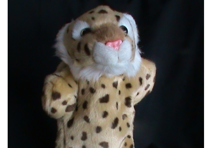 Hand Puppets